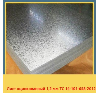 Лист оцинкованный 1,2 мм ТС 14-101-658-2012