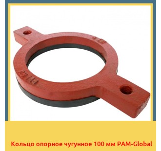 Кольцо опорное чугунное 100 мм PAM-Global