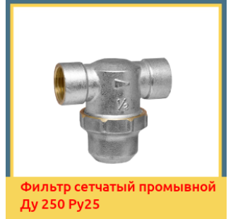 Фильтр сетчатый промывной Ду 250 Ру25 в Бишкеке