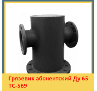 Грязевик абонентский Ду 65 ТС-569 в Бишкеке