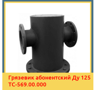 Грязевик абонентский Ду 125 ТС-569.00.000 в Бишкеке