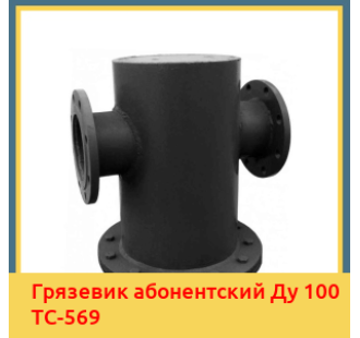 Грязевик абонентский Ду 100 ТС-569 в Бишкеке
