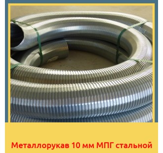 Металлорукав 10 мм МПГ стальной в Бишкеке