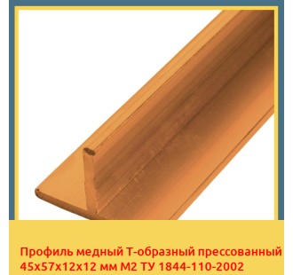 Профиль медный Т-образный прессованный 45х57х12х12 мм М2 ТУ 1844-110-2002 в Бишкеке
