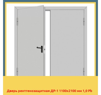 Дверь рентгенозащитная ДР-1 1100х2100 мм 1,0 Pb