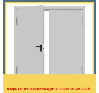 Дверь рентгенозащитная ДР-1 1300х2100 мм 3,0 Pb
