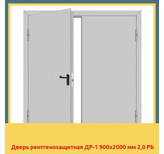 Дверь рентгенозащитная ДР-1 900х2000 мм 2,0 Pb в Бишкеке