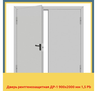 Дверь рентгенозащитная ДР-1 900х2000 мм 1,5 Pb в Бишкеке