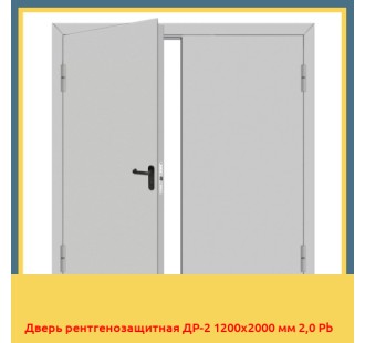 Дверь рентгенозащитная ДР-2 1200х2000 мм 2,0 Pb в Бишкеке