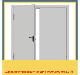 Дверь рентгенозащитная ДР-1 1000х2100 мм 2,0 Pb