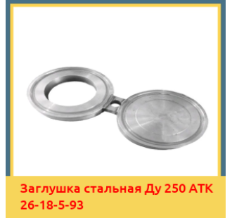 Заглушка стальная Ду 250 АТК 26-18-5-93 в Бишкеке