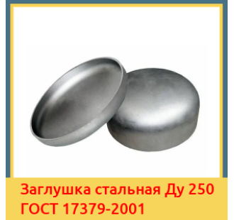 Заглушка стальная Ду 250 ГОСТ 17379-2001 в Бишкеке